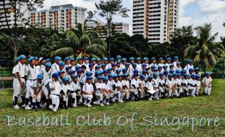 Baseball Club Of Singapore - My Dugout Buddy